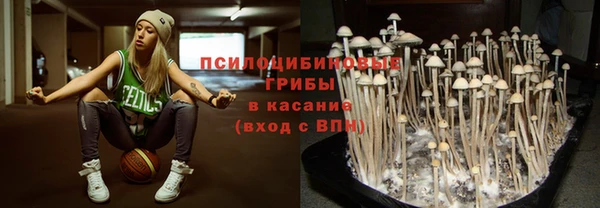 СК Аркадак