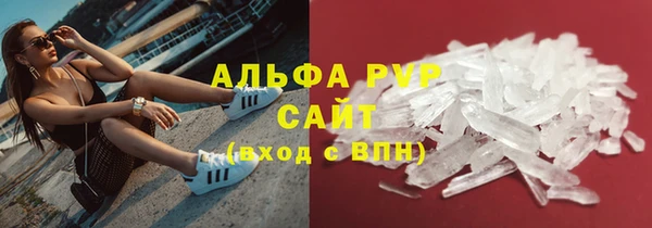 СК Аркадак