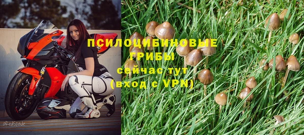 дживик Покровск