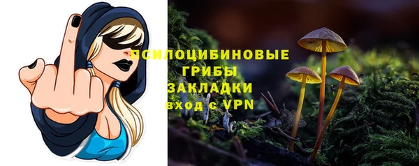 СК Аркадак