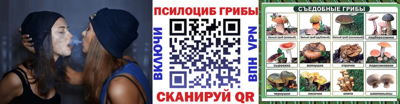 купить закладку  Макарьев  Псилоцибиновые грибы прущие грибы 